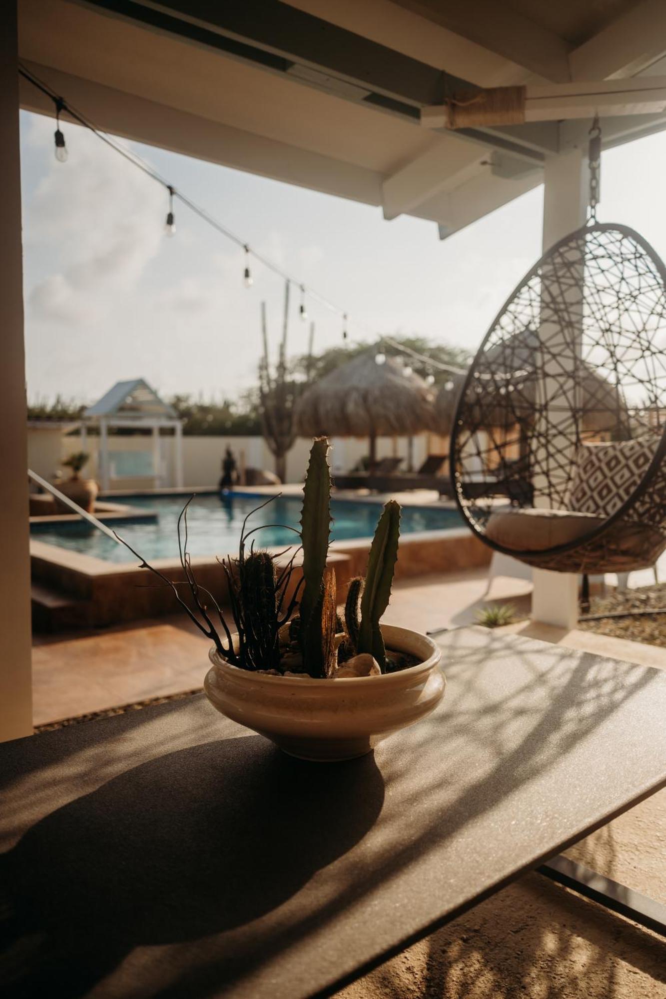 Pura Vida Aruba Appartement Palma 努尔德 外观 照片